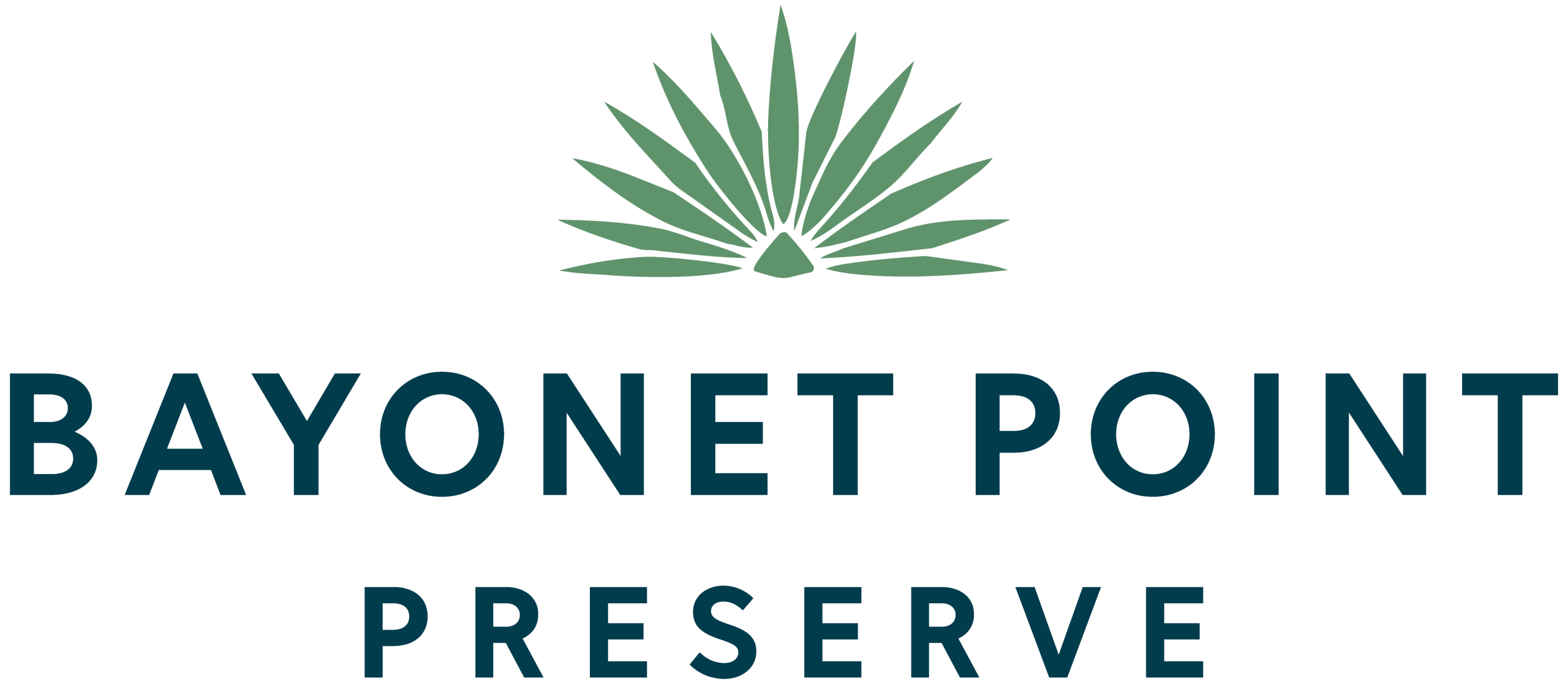 Bayonet Point Preserve