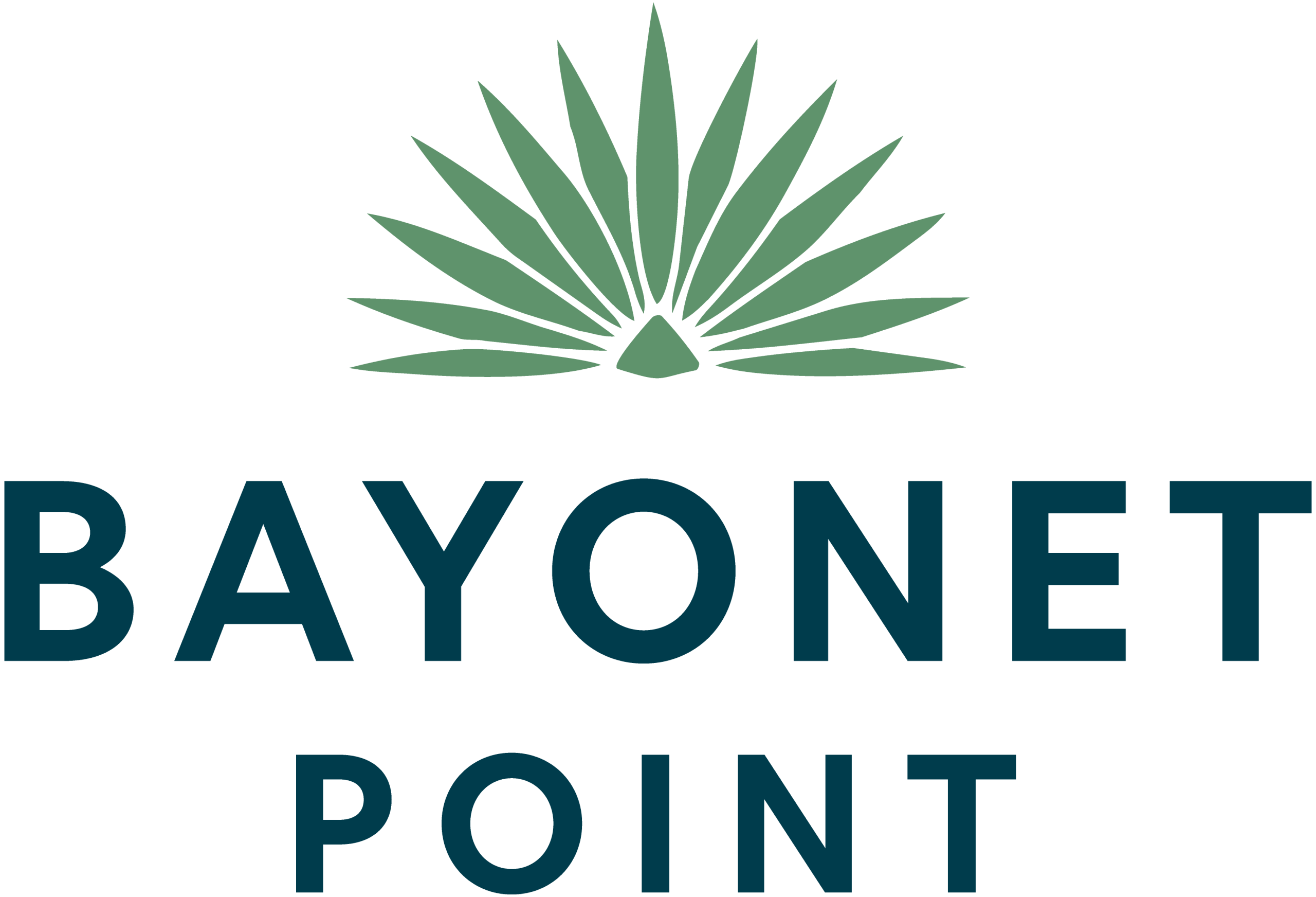 Bayonet Point